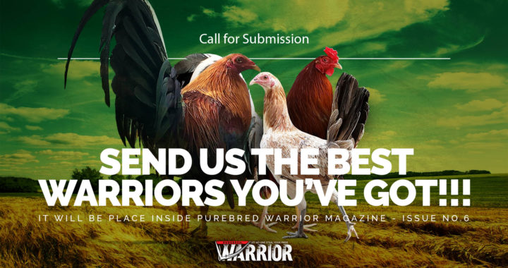 Call to submission: The Crowing Warriors