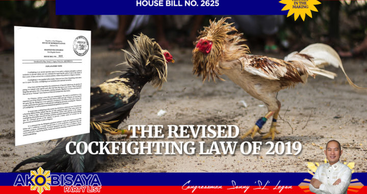 The Revised Cockfighting Law of 2019