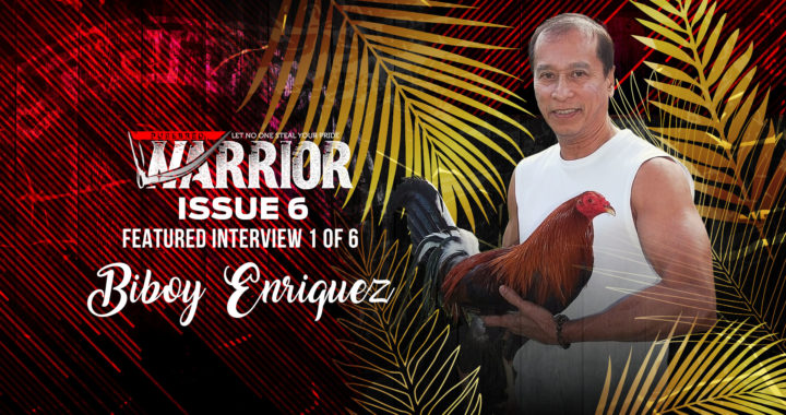 Interviewing Biboy Enriquez of Firebird Gamefarm