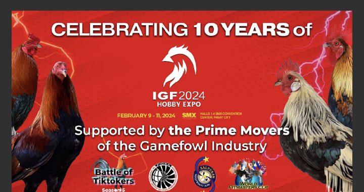 A Decade of Devotion: IGF 2024 Hobby Expo Unveils a Tapestry of Passion at SMX Convention Center